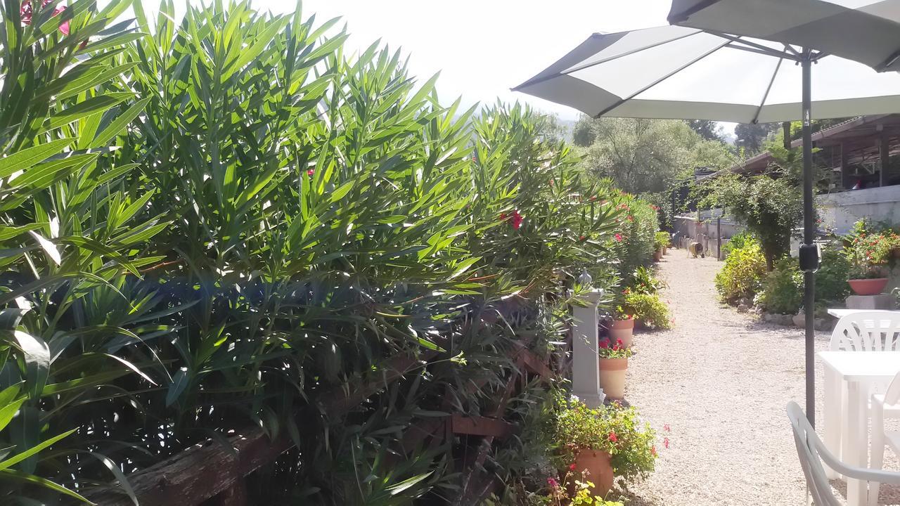 Albergo Terme Santamaria คาสเตลฟอร์เต ภายนอก รูปภาพ