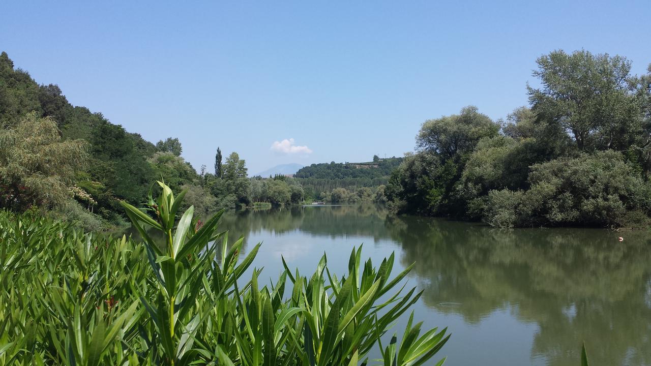 Albergo Terme Santamaria คาสเตลฟอร์เต ภายนอก รูปภาพ